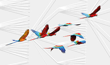 Papageien fliegen vor hellem Hintergrund mit Leitungsbetzen (Bild: Sandra Hermannsen)