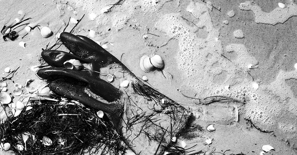 Gummihandschuh und Muscheln im Sand (Bild: Sandra Hermannsen)