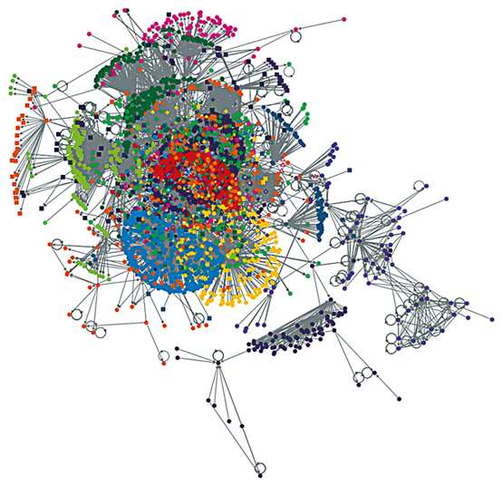 Ein semantisches Netzwerk der Tophashtags von Twitter (© Jonathan J. H. Zhu)